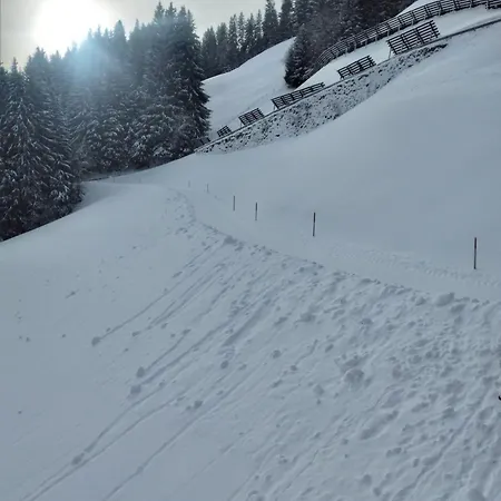Appartement Oberkreut